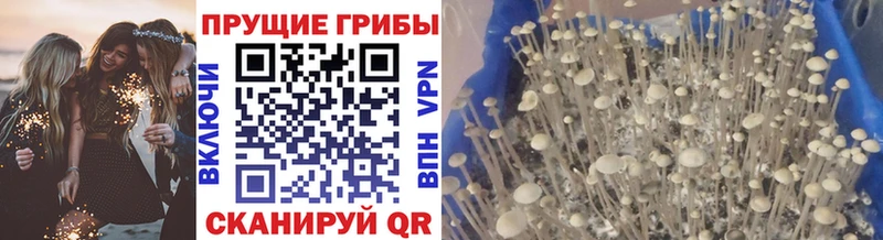 Псилоцибиновые грибы Magic Shrooms магазин продажи OMG зеркало Ликино-Дулёво